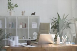 Disfunção Diastólica Grau 1: Disfunção Diastólica Grau 1 O Que É?